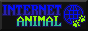internet animal